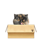 ハナ先輩大集合①（個別スタンプ：8）