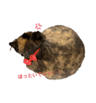 ハナ先輩大集合①（個別スタンプ：29）