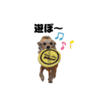 チワックスエイト（個別スタンプ：4）