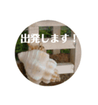 挨拶上手な♡おかやどかり君たち（個別スタンプ：2）