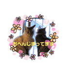 まろんちゃんとくるみちゃんと琥珀（個別スタンプ：1）