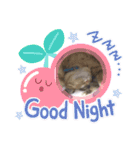 まろんちゃんとくるみちゃんと琥珀（個別スタンプ：5）