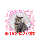 まろんちゃんとくるみちゃんと琥珀（個別スタンプ：6）