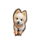 リト(日常生活)（個別スタンプ：1）