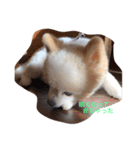 リト(日常生活)（個別スタンプ：4）
