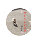 リト(日常生活)（個別スタンプ：6）