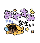 チワワのアポマルロキ【日常会話編3】（個別スタンプ：18）