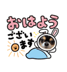 チワワのアポマルロキ【日常会話編3】（個別スタンプ：29）