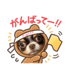 チワワのアポマルロキ【日常会話編3】（個別スタンプ：31）