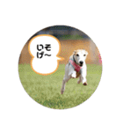 おると、ちょっちょ、ういちゃん（個別スタンプ：2）