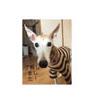 おると、ちょっちょ、ういちゃん（個別スタンプ：10）
