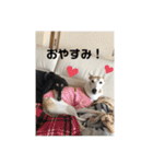 おると、ちょっちょ、ういちゃん（個別スタンプ：11）