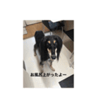 おると、ちょっちょ、ういちゃん（個別スタンプ：24）