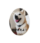 おると、ちょっちょ、ういちゃん（個別スタンプ：25）