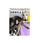 おると、ちょっちょ、ういちゃん（個別スタンプ：26）