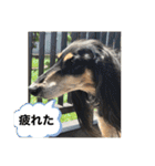 おると、ちょっちょ、ういちゃん（個別スタンプ：27）