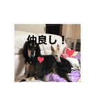 おると、ちょっちょ、ういちゃん（個別スタンプ：28）
