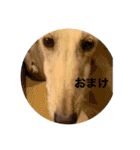 おると、ちょっちょ、ういちゃん（個別スタンプ：30）