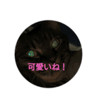 みんな使って使ってスタンプ32（個別スタンプ：3）