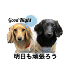 ベルとジャスミンのスタンプ（個別スタンプ：3）