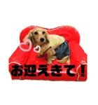 ベルとジャスミンのスタンプ（個別スタンプ：14）