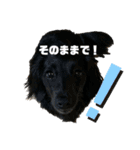 ベルとジャスミンのスタンプ（個別スタンプ：20）