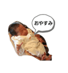 おやすみさい（個別スタンプ：5）