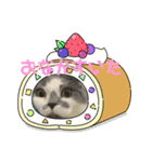 スコティッシュ今日も行く2（個別スタンプ：3）