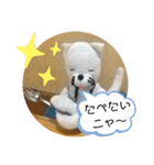 ニャガ田さんスタンプ2（個別スタンプ：5）