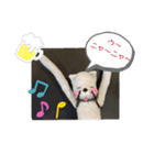 ニャガ田さんスタンプ2（個別スタンプ：7）