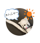 ニャガ田さんスタンプ2（個別スタンプ：9）