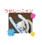 ニャガ田さんスタンプ2（個別スタンプ：18）