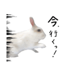 上から目線のロイドくん（個別スタンプ：4）