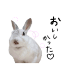 上から目線のロイドくん（個別スタンプ：5）
