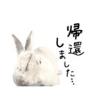 上から目線のロイドくん（個別スタンプ：6）