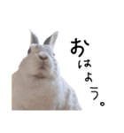上から目線のロイドくん（個別スタンプ：7）