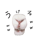 上から目線のロイドくん（個別スタンプ：8）