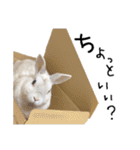 上から目線のロイドくん（個別スタンプ：9）