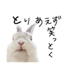 上から目線のロイドくん（個別スタンプ：11）