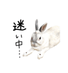 上から目線のロイドくん（個別スタンプ：13）