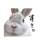 上から目線のロイドくん（個別スタンプ：16）