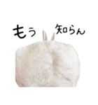 上から目線のロイドくん（個別スタンプ：17）
