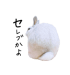 上から目線のロイドくん（個別スタンプ：18）