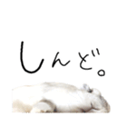 上から目線のロイドくん（個別スタンプ：19）