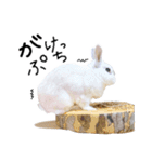 上から目線のロイドくん（個別スタンプ：20）