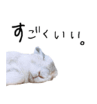 上から目線のロイドくん（個別スタンプ：21）