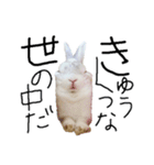 上から目線のロイドくん（個別スタンプ：22）