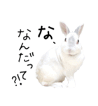 上から目線のロイドくん（個別スタンプ：23）