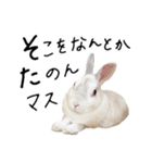 上から目線のロイドくん（個別スタンプ：25）