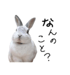 上から目線のロイドくん（個別スタンプ：26）